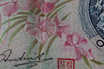 Orchids on Singapore Dollar Note