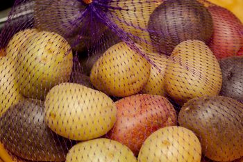 Small Potatoes