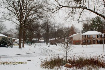 The Year's First Snow