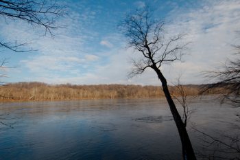 Potomac River from Turkey Run Park