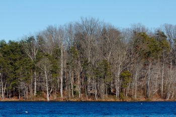 Burke Lake