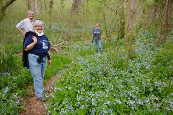 Bluebells with Rob and Susie