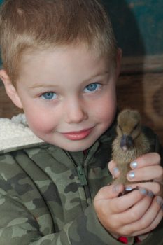 Glen With A Duckling