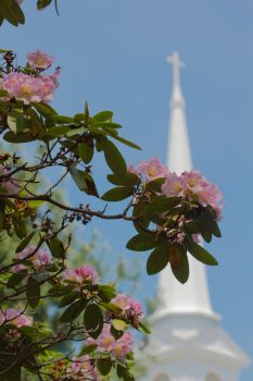 Shady Grove Steeple