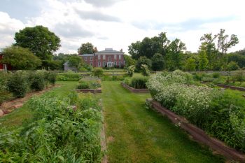 Rocklands Garden and House