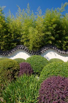 Evergreen Wall, National Bonsai and Penjing Museum