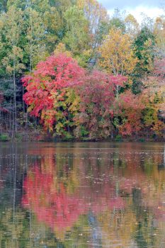 Fall Color, Lake Churchill