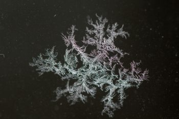 Ice Crystals