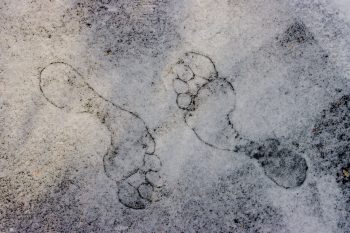 Footprints