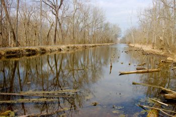 C&O Canal, near White's Ford