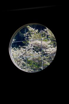 Dogwood Porthole