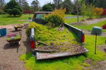 Susanna Farm Nursery