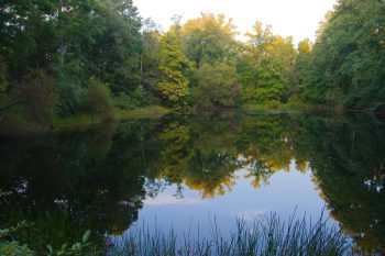 Sunfish Pond