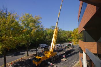 Crane Outside My Office