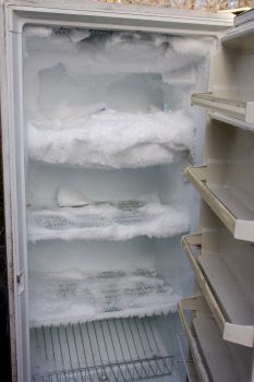 Freezer, Pre-Thaw