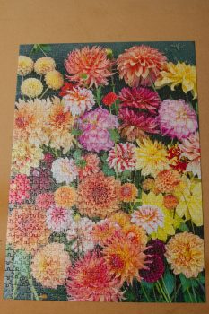 Dahlia Puzzle