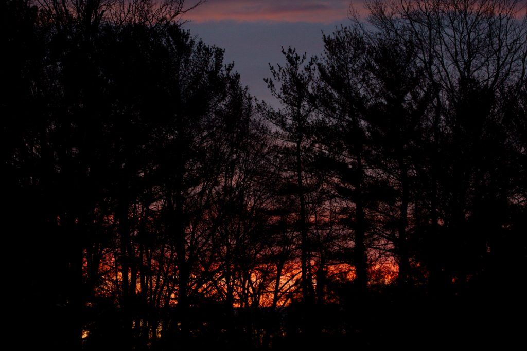 Sunrise/Sunset/Sky | Henry Hartley
