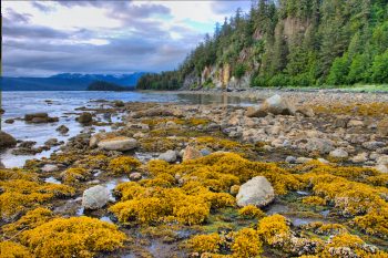 False Outer Point, Douglas Island, Juneau, Alaska