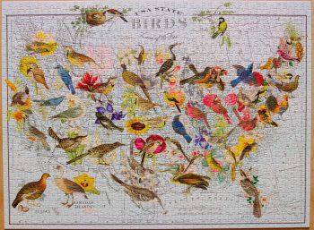 State Birds and Flowers Puzzle