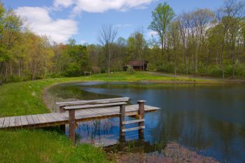 The Pond and Dock