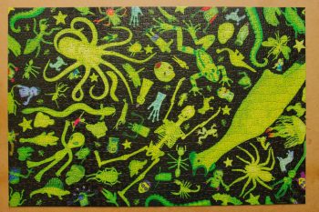 Archie McPhee Glow Chamber Puzzle