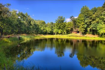 Cabin and Pond