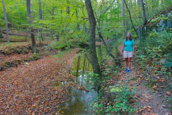 Croyden Creek