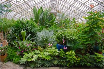 Conservatory, Brookside Gardens