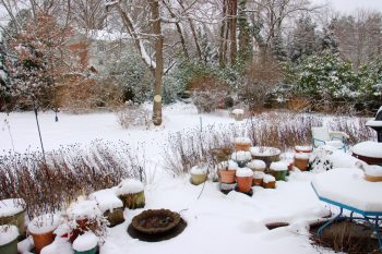 Snow