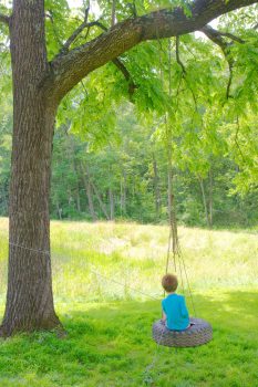 Tire Swing