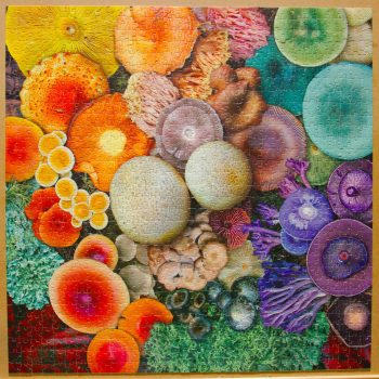 Mushroom Puzzle