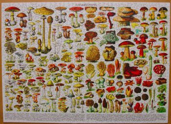 Mushroom Puzzle