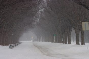 Snow on Norbeck Road
