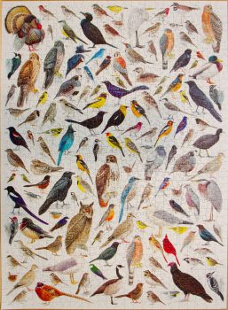 Bird Puzzle