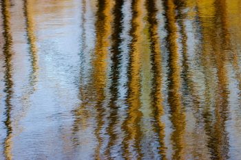 Reflections