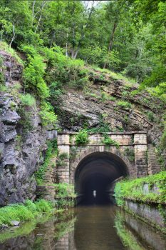 Pawpaw Tunnel
