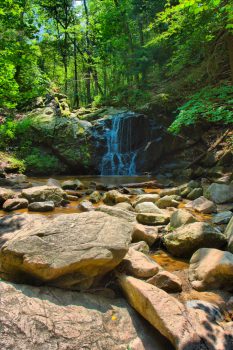 Cascade Loop in Patapsco Valley State Park